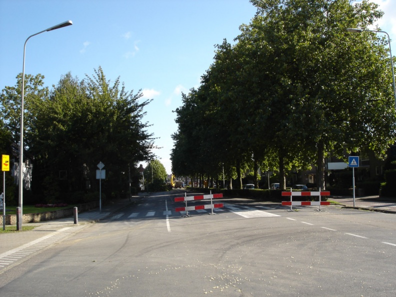 2005-08-29 Rijksweg-Zuid kap bomen b.jpg