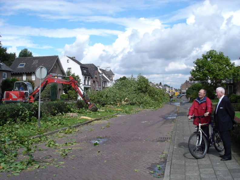 2005-08-29 Rijksweg-Zuid kap bomen c.jpg