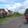 2005-08-29 Rijksweg-Zuid kap bomen c