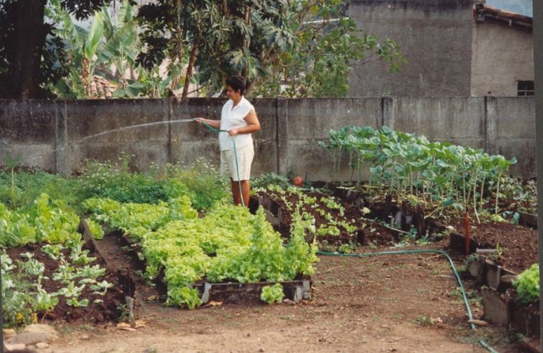 1994 creche en groentetuin Brasse.jpg