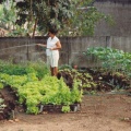 1994 creche en groentetuin Brasse.jpg