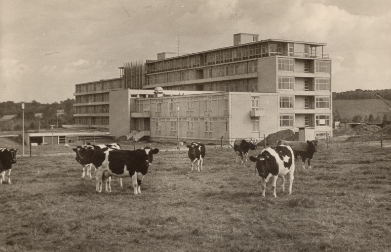 1962 Sint Barbara Ziekenhuis 1 foto Eussen-Peters